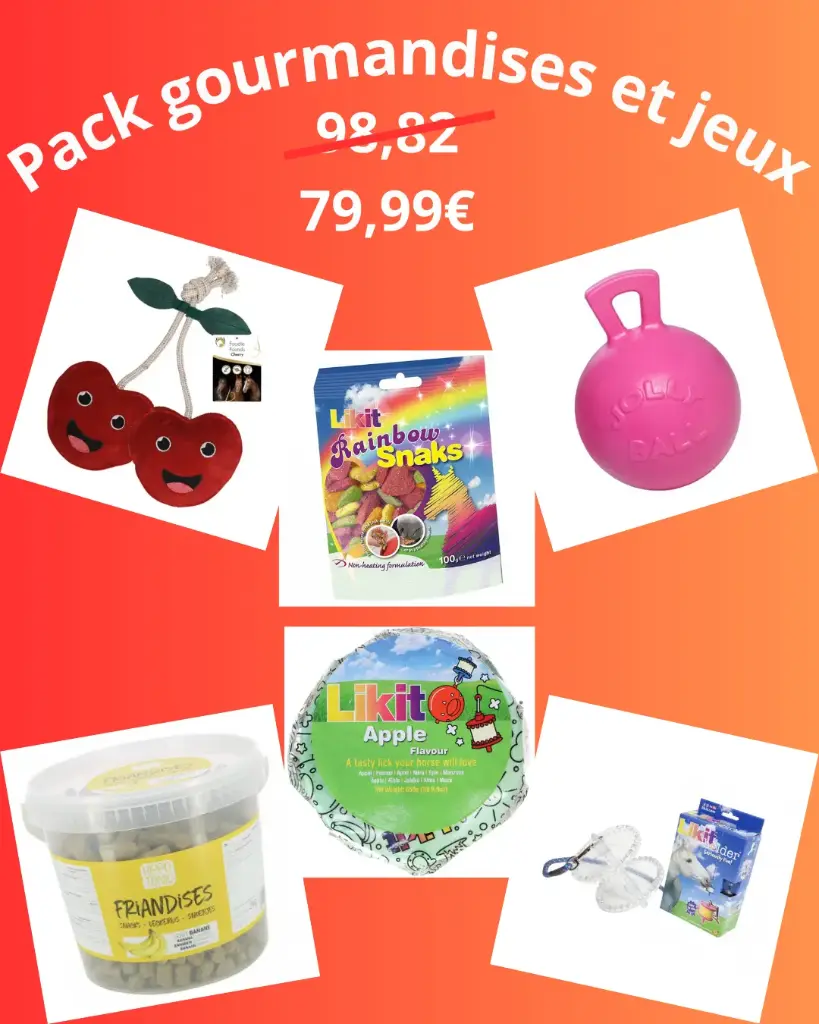PACK GOURMANDISES ET JEUX