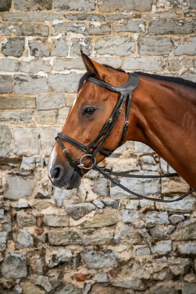 Bridon "Différence" - D Collection - Dy'on