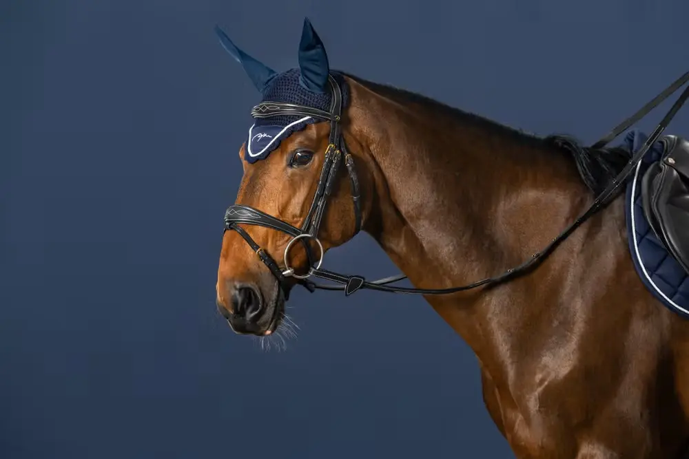 Bridon Muserolle Combinée Anatomique - D Collection - Dy'on