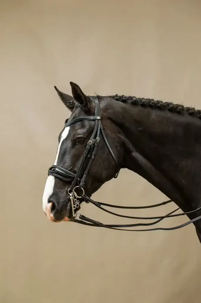 Bridon Muserolle Large Vernie - Working By Dy'on - Dy'on