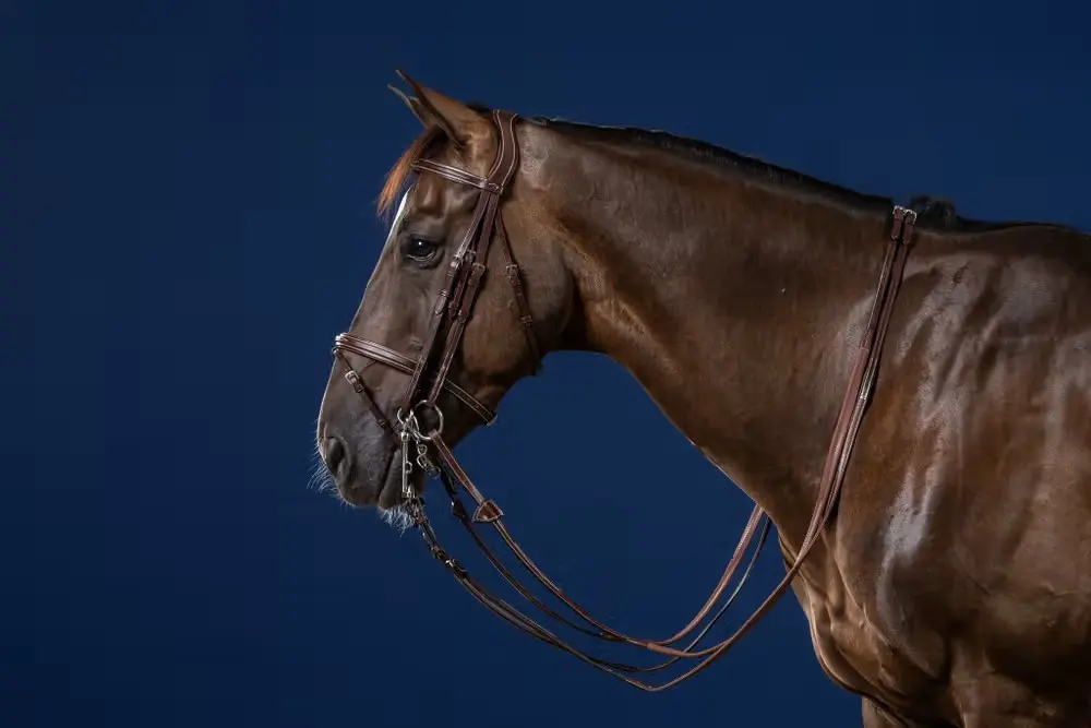 Bridon Muserolle Combinée - Collection US Jumping - Dy'on