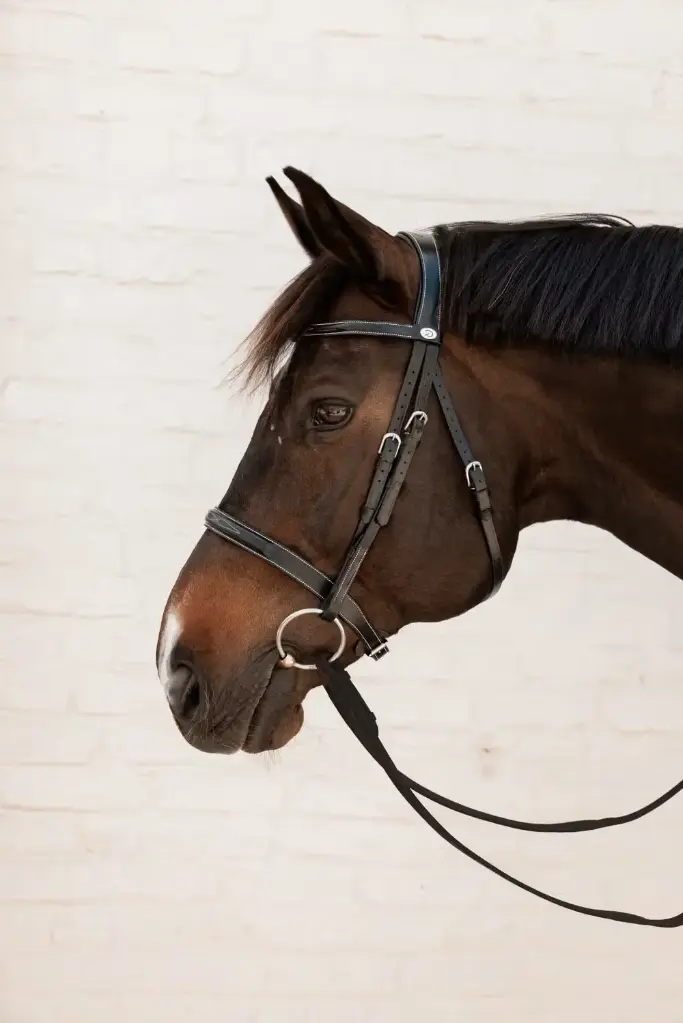 Bridon Hunter - Working By Dy'on - Dy'on