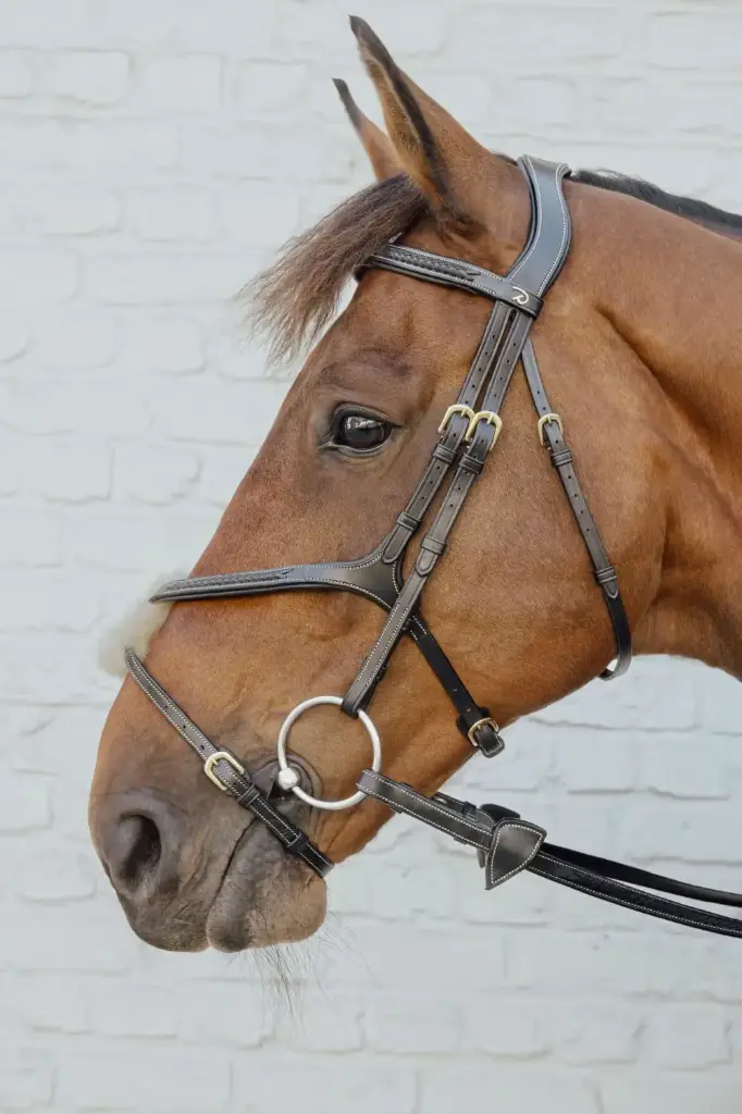 Bridon Muserolle Croisée Tressée - D Collection - Dy'on (Noir, P/S)