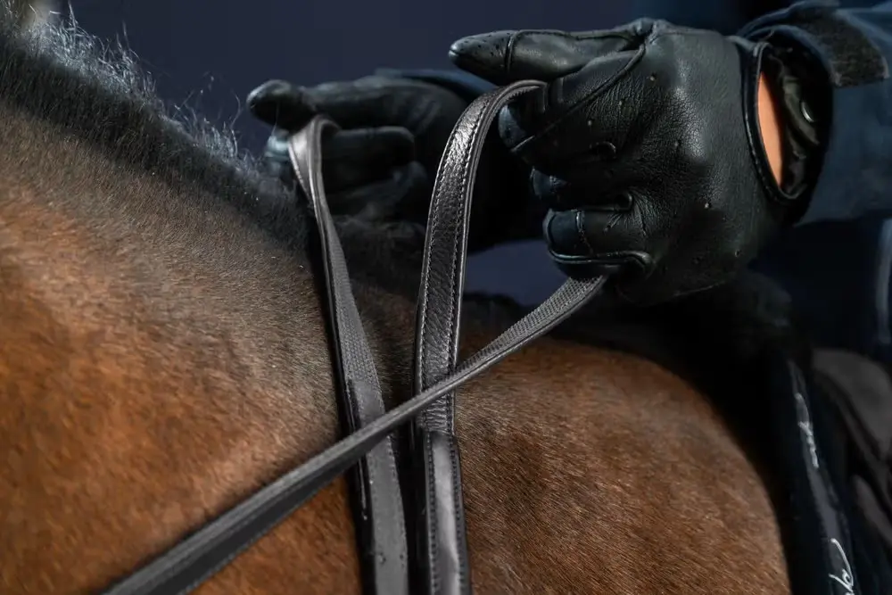 Rênes Hunter 1/2" - New English Collection - Dy'on