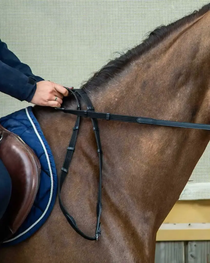 Rênes Tissu 5/8" avec 9 arrêtoirs (sans stopper) - Collection Dressage Cuir Plat - Dy'on