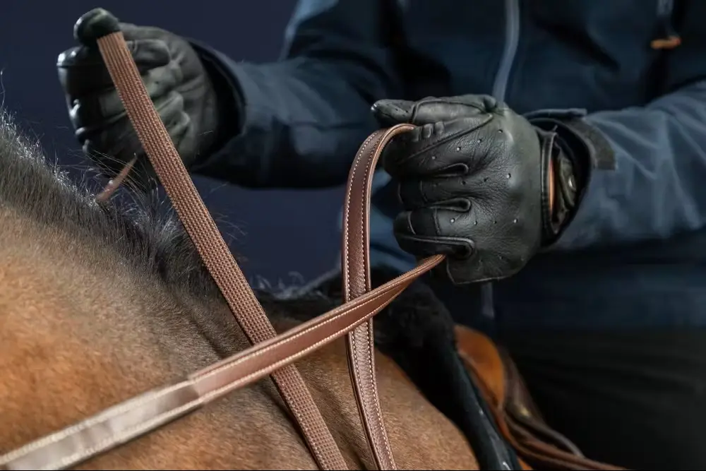 Rênes Hunter 1/2" - Collection US Jumping - Dy'on