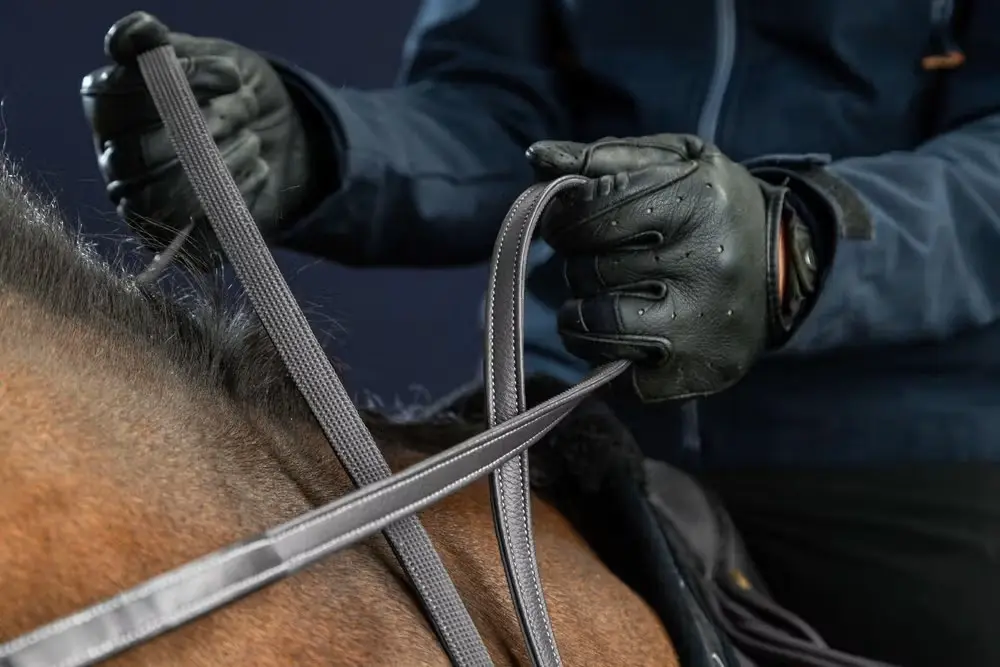 Rênes Hunter 1/2" - D Collection - Dy'on