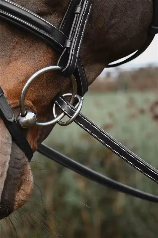 Rênes Caoutchouc 1/2 avec 7 arrêtoirs Fermeture à anneaux - Working By Dy'on - Dy'on