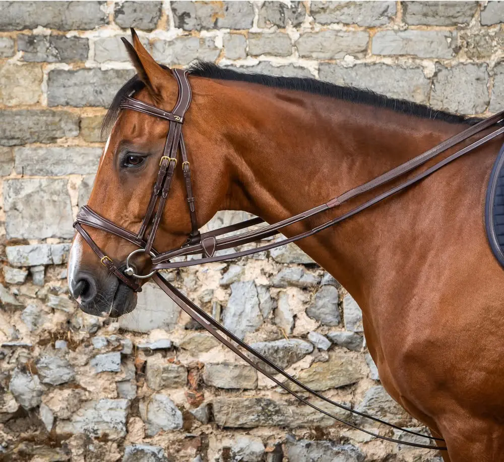 Rênes Allemandes tout cuir 1/2" - D Collection - Dy'on