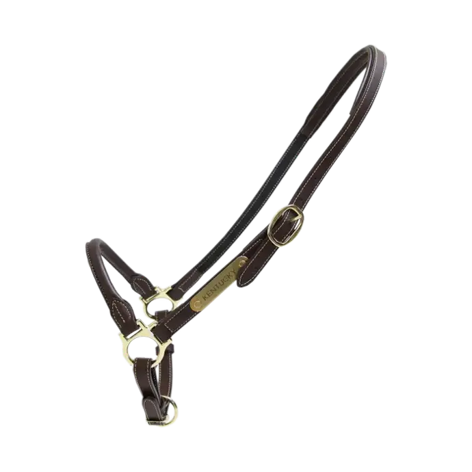 Licol de Pansage en cuir Kentucky  (Cob)