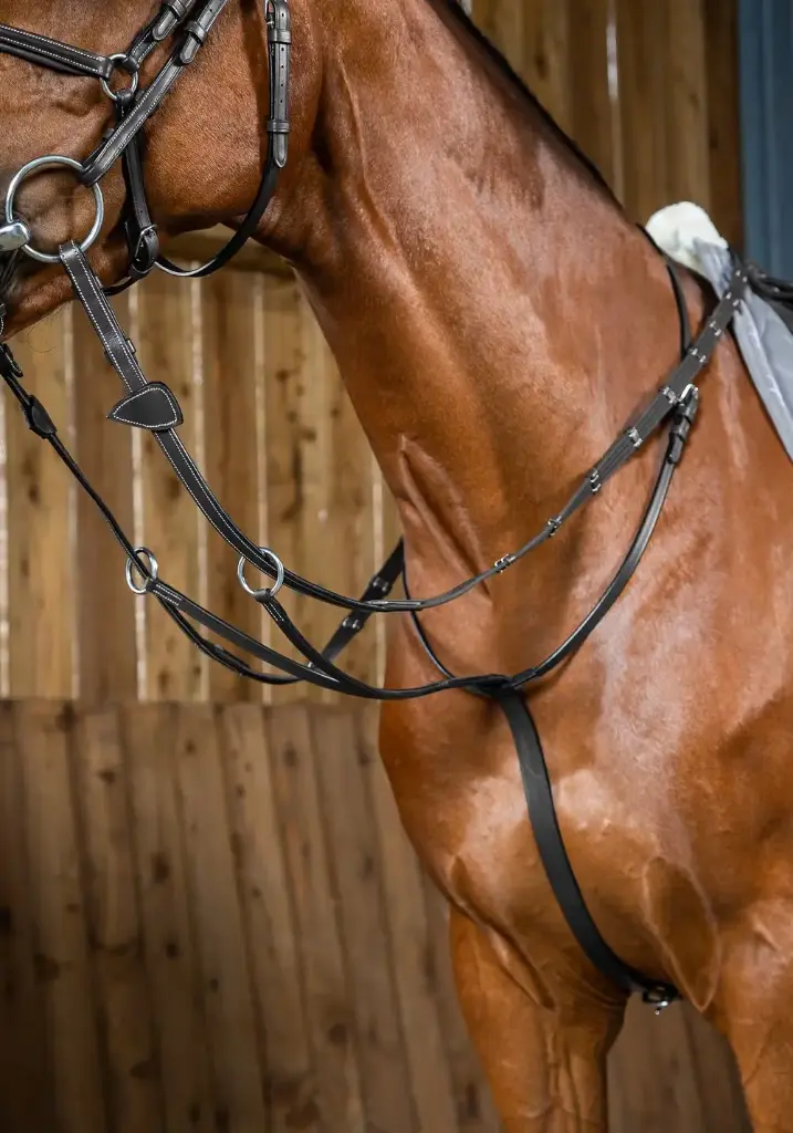 Martingale à anneaux - Working By Dy'on - Dy'on (Noir, Cob)