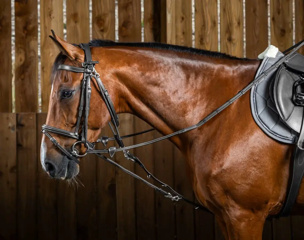 Gogue en Nylon - Working By Dy'on - Dy'on