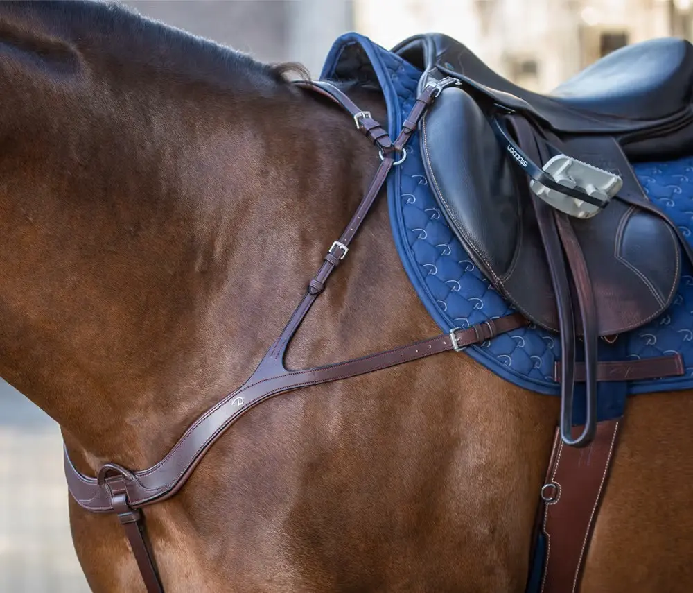 Collier de Chasse Anatomique - New English Collection - Dy'on