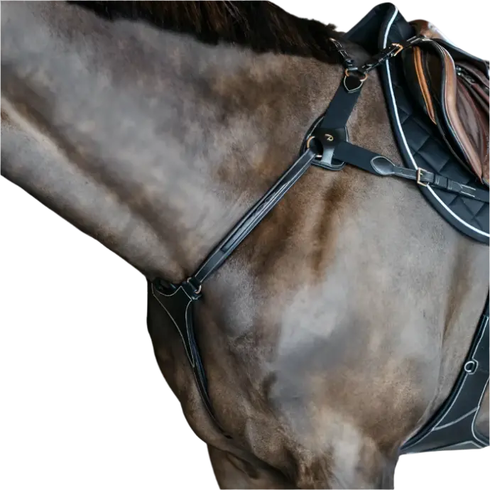 Collier de Chasse 5 points élastique - D Collection - Dy'on (Noir, P/S)