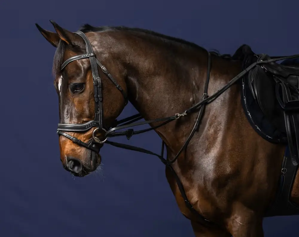 Enrênement Howlett - Working By Dy'on - Dy'on