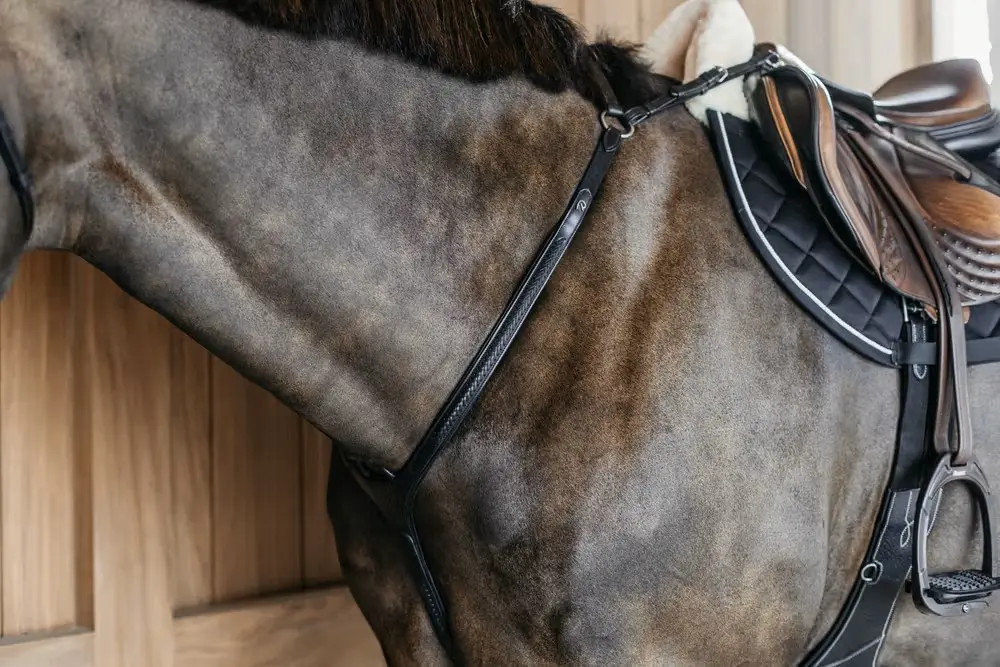 Collier de Chasse à pont tressé - New English Collection - Dy'on