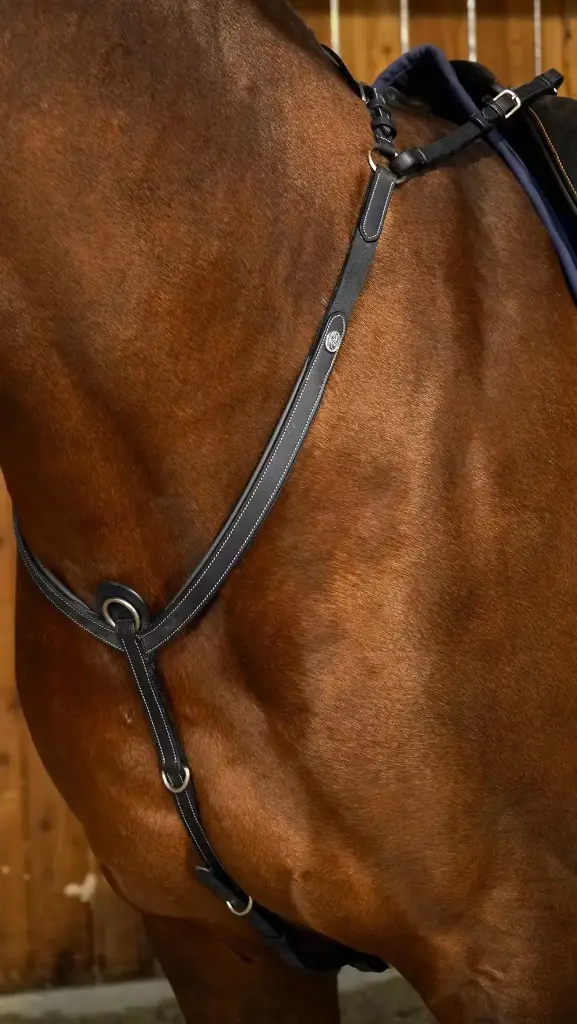 Collier de Chasse à Pont - Working By Dy'on - Dy'on (Noir, Cob)