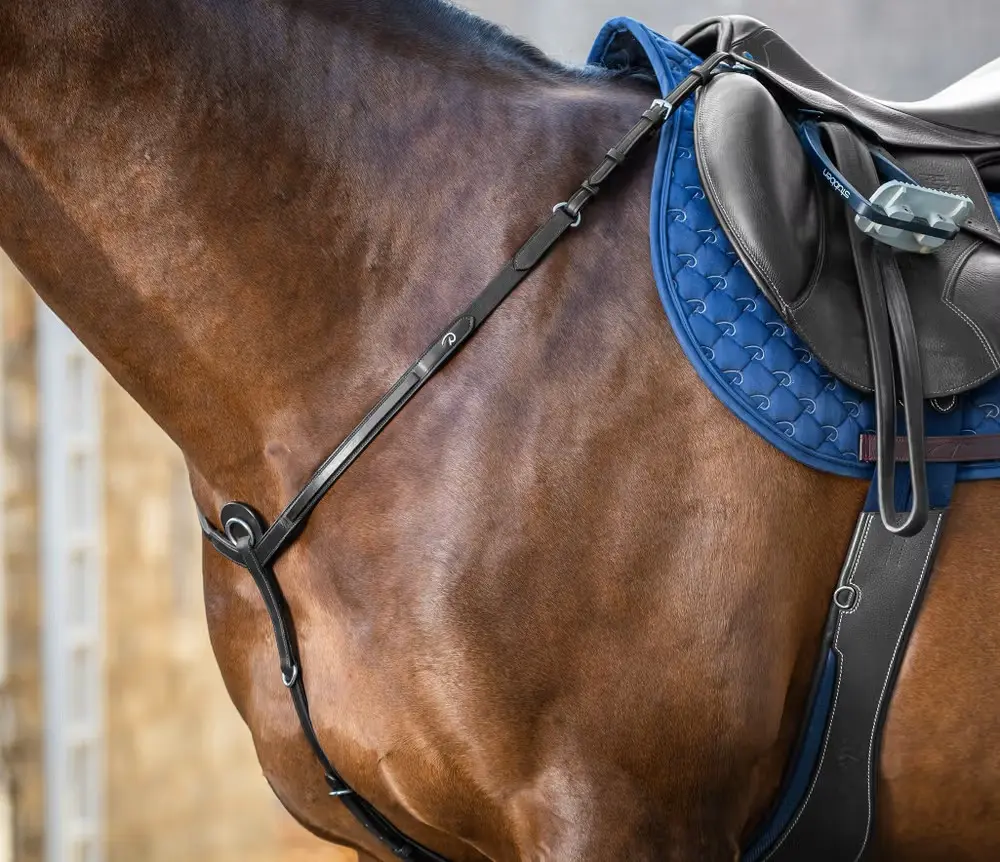 Collier de chasse - New English Collection - Dy'on (Noir)