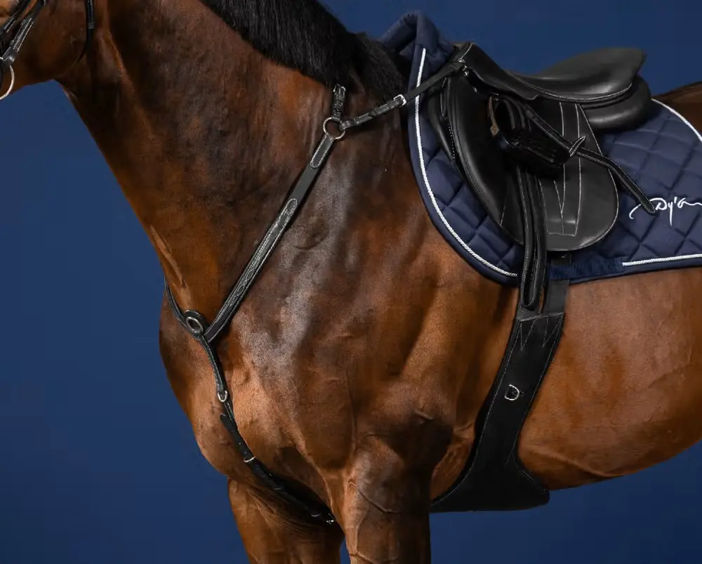 Collier de Chasse à Pont - Collection US Jumping - Dy'on (Noir, Cob)