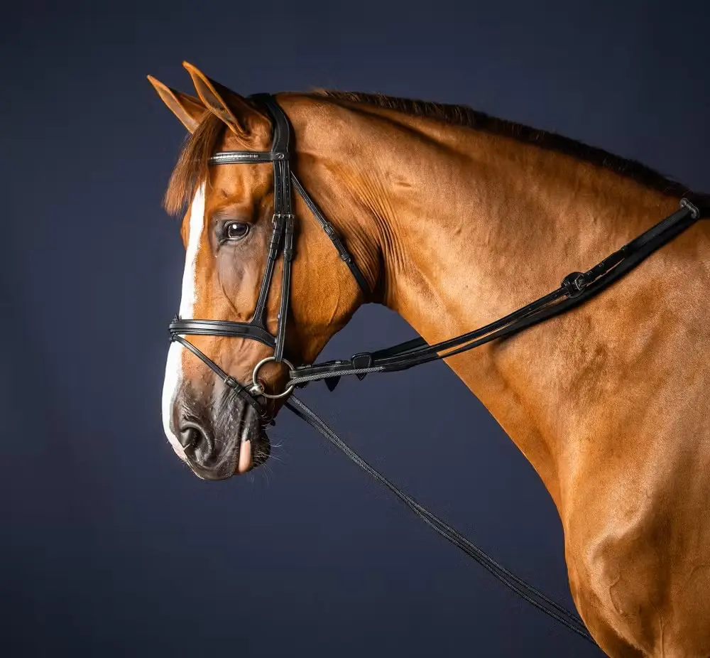 Rênes Allemandes Nylon/Cuir 5/8" - New English Collection - Dy'on