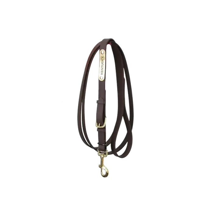 Longe de présentation Kentucky  (Brun)