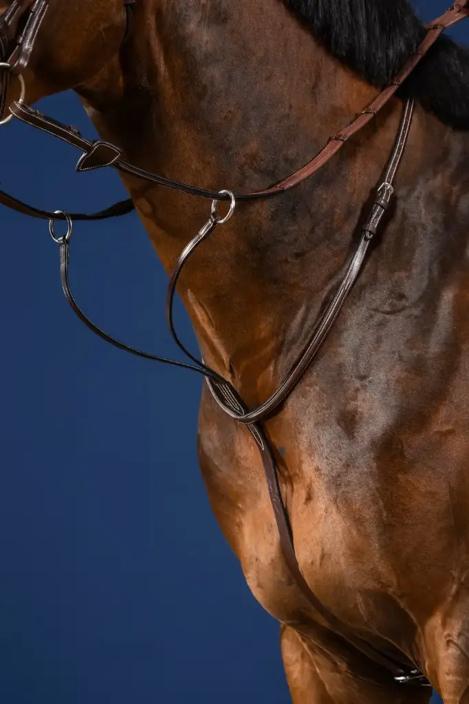 Martingale à anneaux - Collection US Jumping - Dy'on