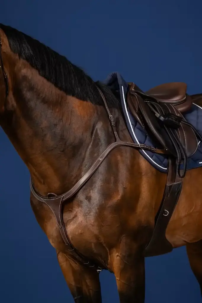 Collier de Chasse Long Pont - Collection US Jumping - Dy'on (P/S)