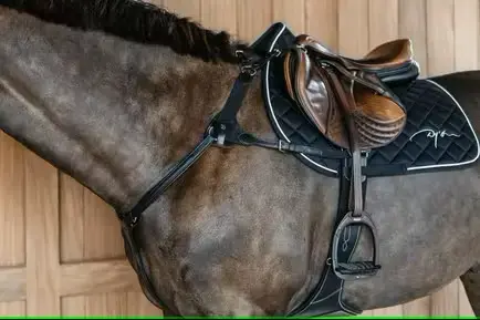 Collier de chasse 5 points élastique - New English Collection - Dy'on