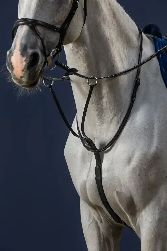 Martingale à anneaux - New English Collection - Dy'on