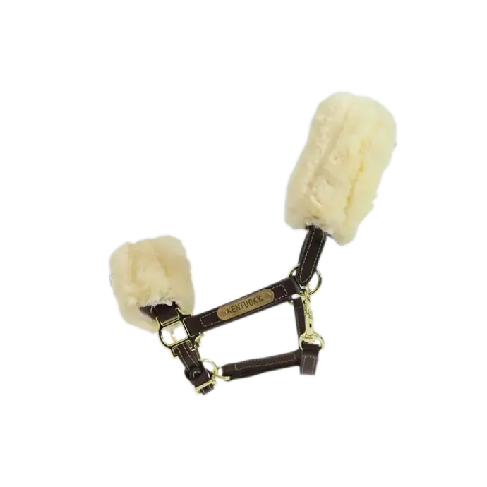 Licol mouton en cuir Kentucky (Mini Shetty)