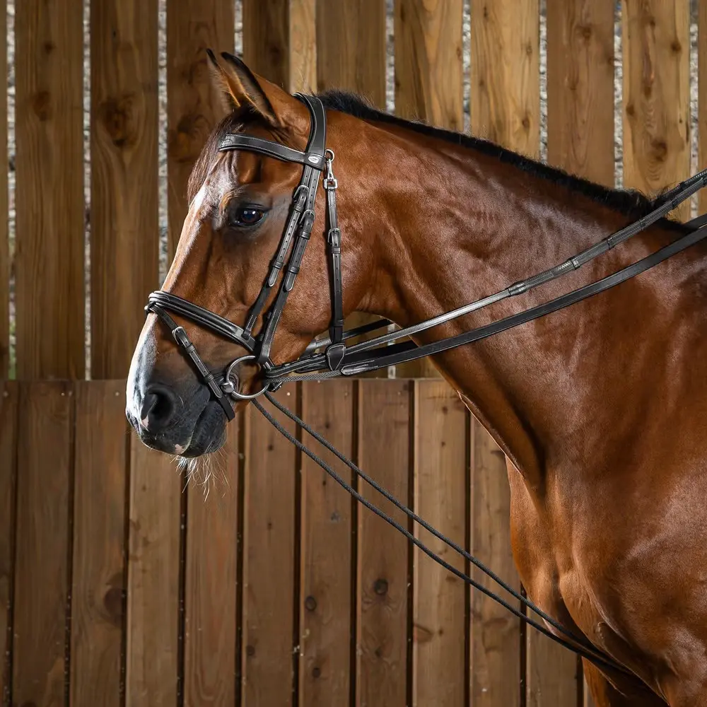 Rênes Allemandes Nylon/Cuir 5/8" - Working By Dy'on - Dy'on