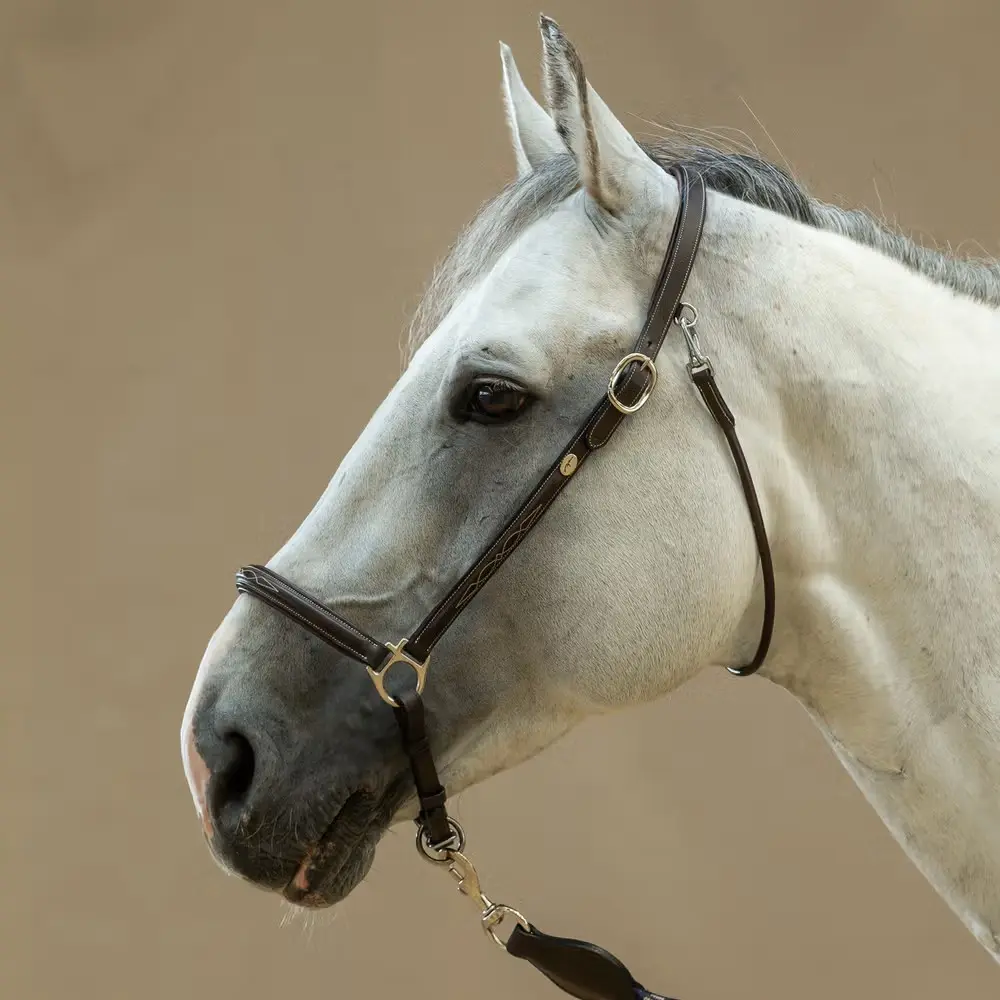 Licol de pansage Brun - Working By Dy'on - Dy'on