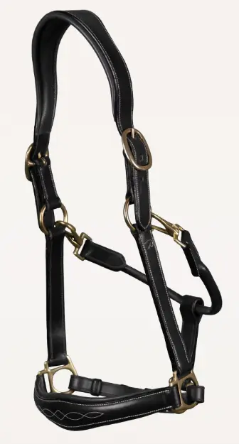 Licol Cuir Noir - D Collection - Dy'on