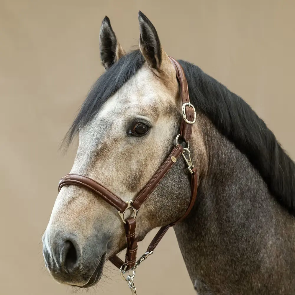 Licol Cuir Extra Souple - Working By Dy'on - Dy'on