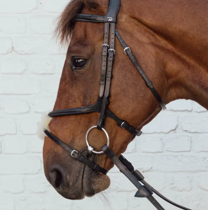 Muserolle croisée tressée - New English Collection -  Dy'on (P/S, Noir)