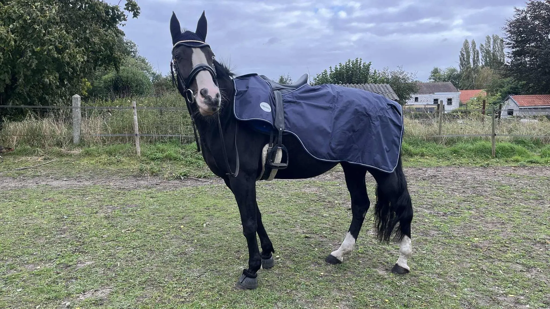 COUVRE REINS IMPERMEABLE POLAIRE 600D 50GR NAVY EQUIGEN