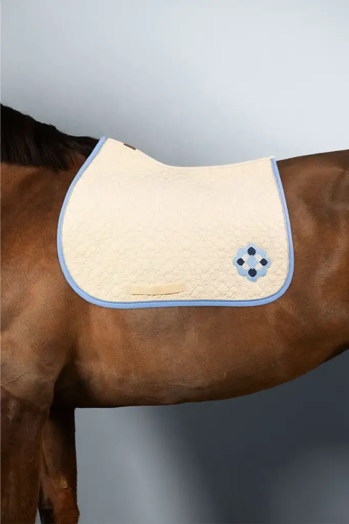 Tapis Charles x Versailles CSO Harcour (Lin)