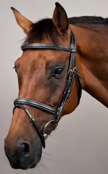 Bridon Muserolle Combinée - D Collection - Dy'on (Noir, P/S)