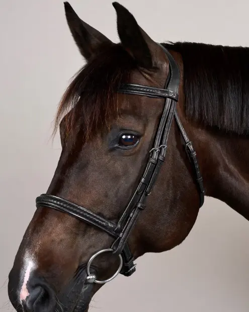 Bridon Muserolle Tressée sans Sous-Barbe - New English Collection - Dy'on (Noir, P/S)