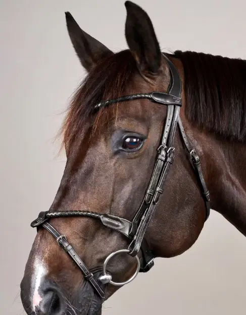 Bridon Muserolle Combinée Tressé Rond - New English Collection - Dy'on (Noir, P/S)