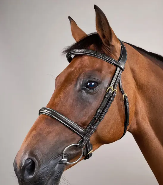 Bridon Muserolle Tressée sans Sous-barbe - D Collection - Dy'on (Noir, P/S)