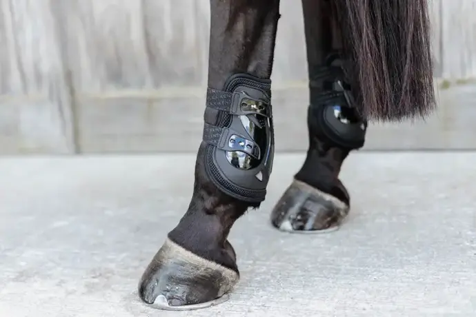 Moonboots Air X Kentucky 