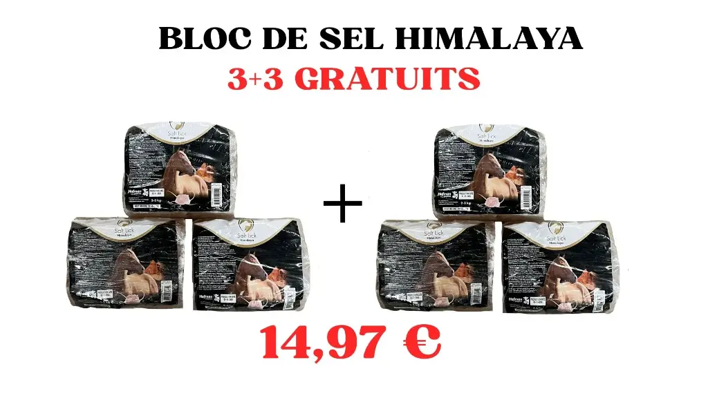 PACK DE SEL HIMALAYA 3 + 3 GRATUIT