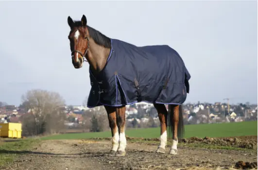 Couverture Classic 1200D - Standard Equithème (120cm, 50gr)