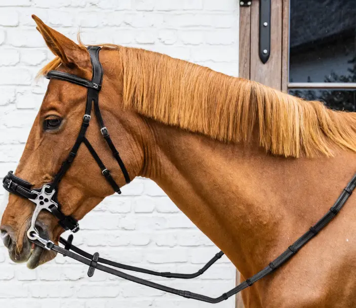 Rênes en Caoutchouc 5/8" avec Arrêtoirs en Cuir et Mousqueton - Working By Dy'on - Dy'on