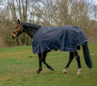 Chemise d'extérieur Anatomic 1200D Standard 0GR - Equithème (125cm)