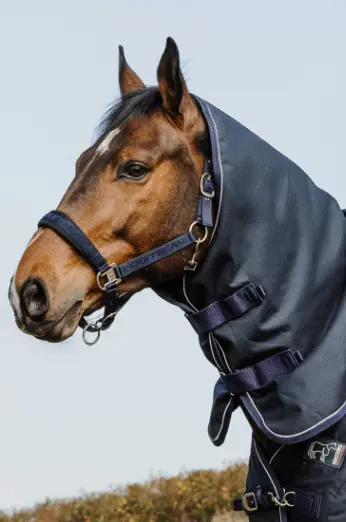 Couvre-cou Anatomic 1200D - Equithème (Cob, 200gr)