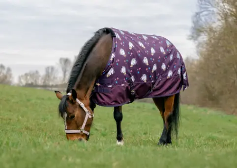 Couverture d'extérieur Licorne 600D 220GR - Equithème (80cm)