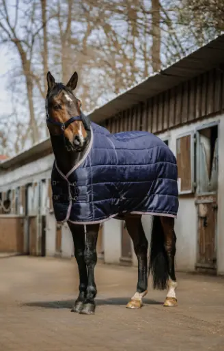 Couverture d'écurie Aztec 200GR - Equithème