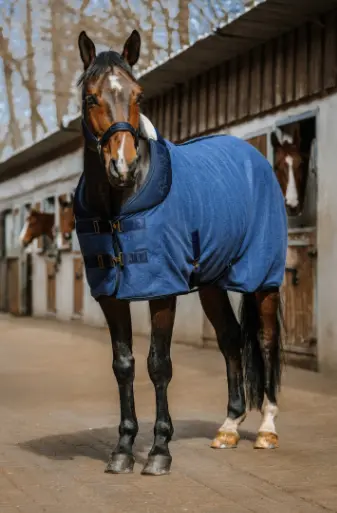 Chemise polaire Confortech - Equithème